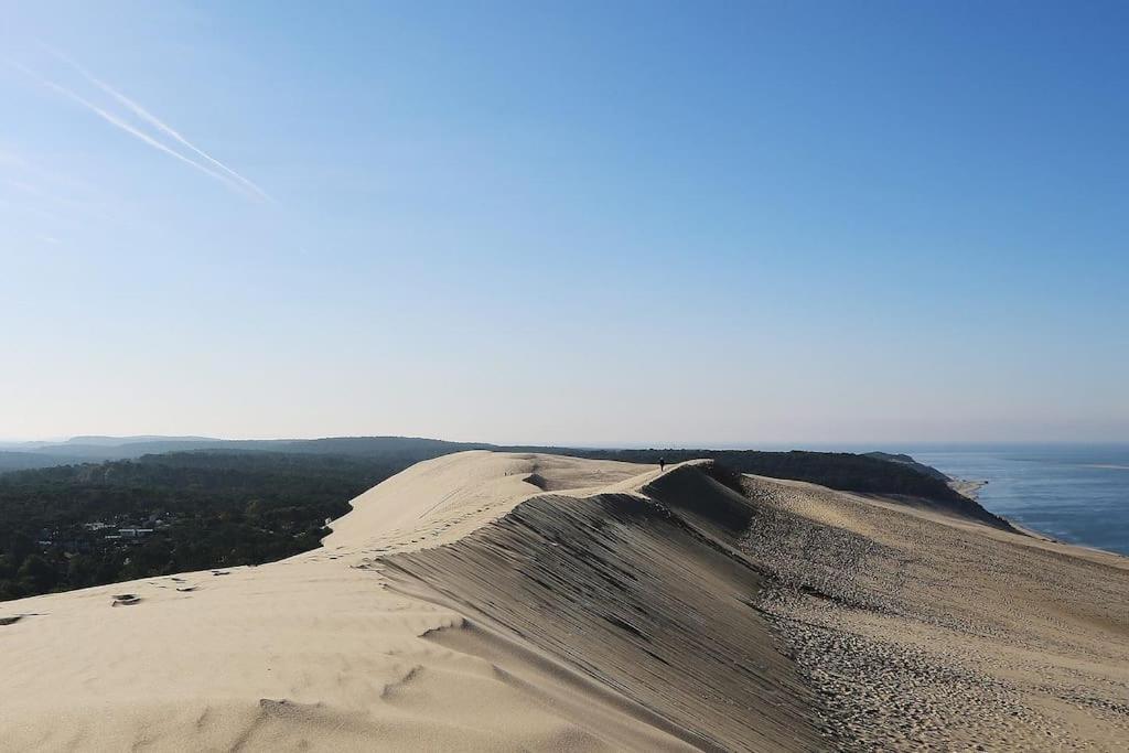 La Petite Landaise Villa Sanguinet Kültér fotó